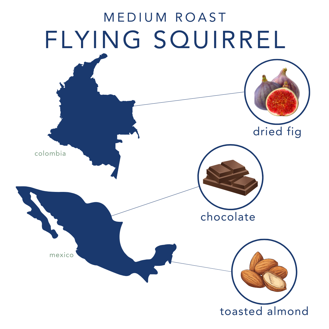 Flying Squirrel