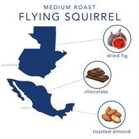 Flying Squirrel - Wholesale