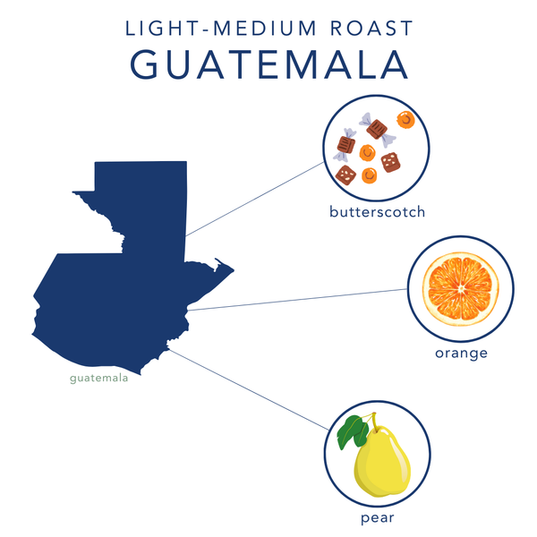 Guatemala Finca Las Moritas