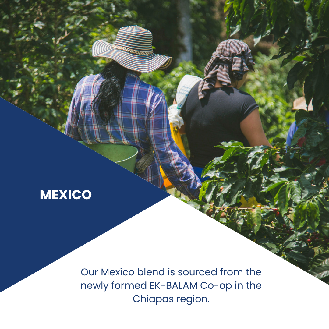 Mexico Organic